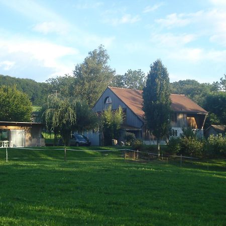 Bnb Pavillon Paisible Orsonnens Kültér fotó